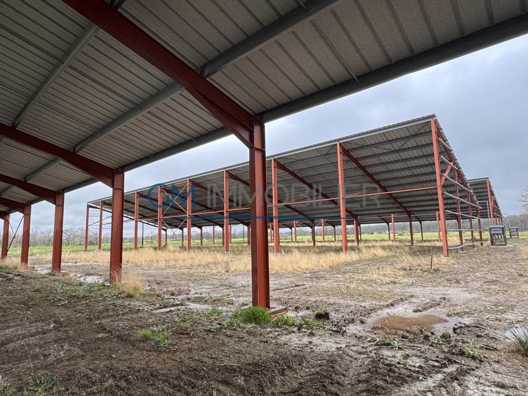 A Vendre 2 Bâtiments Neufs (882m2 & 1386m2) sur Terrain de 7